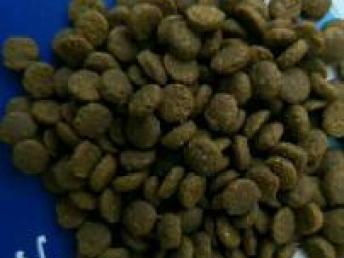 臨沂寵物食品公司品牌直銷與專業(yè)代加工服務(wù)解析——兼論西安寵物食品用品銷售市場(chǎng)